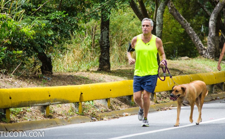 Mascotas de la Cota Mil: El perro crestado rodesiano