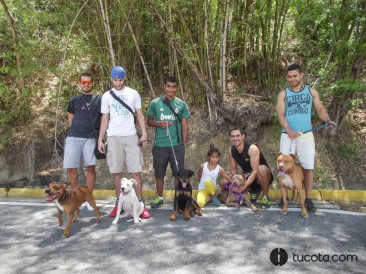 Dueños y Mascotas: Rafael y Kafu,  Yose y Ika, Andres y Conan,  Juan Carlos y Coco, Darlin y Cluster